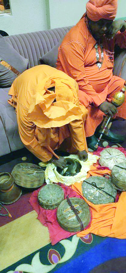 YouTuber Elvish accused of procuring cobras and snake venom for rave party