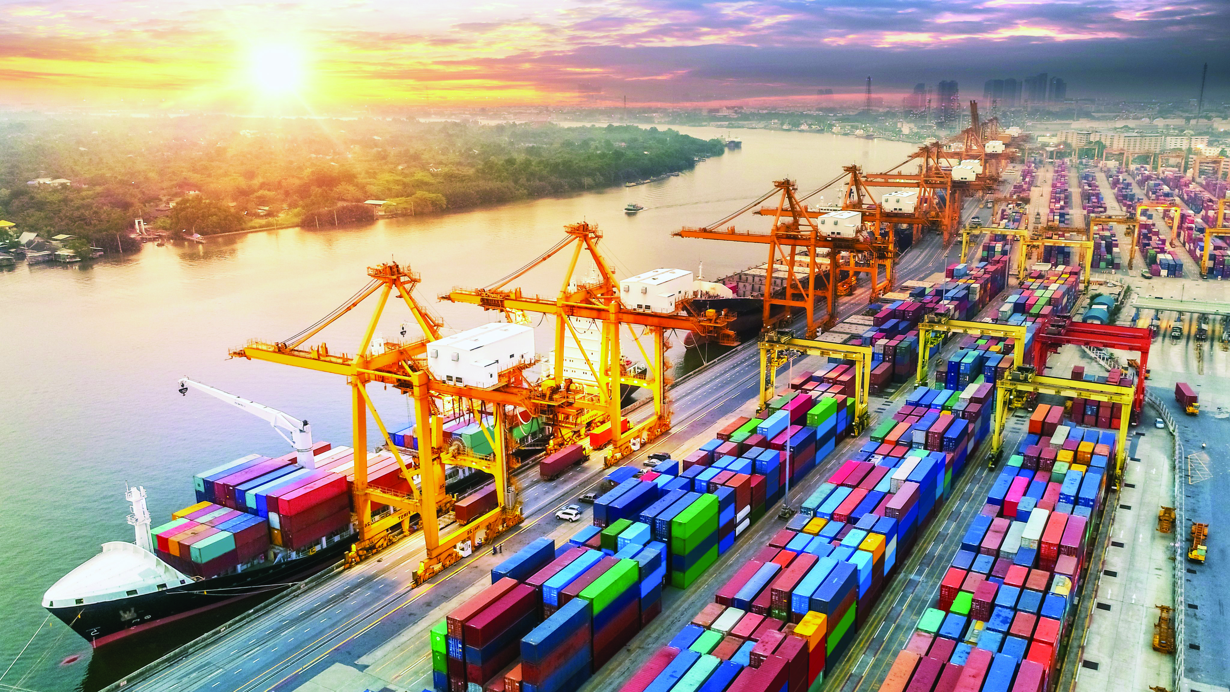 Curbs, PLI & mandatory quality norms helping to slash imports