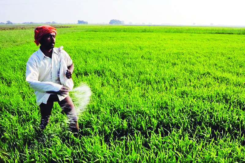 Ensure ‘adequate supply’ of fertilisers, state writes to Centre