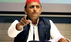 Akhilesh slams UP govt over stray cattle menace asks how many people killed during BJP rule?