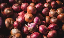 Intractable disruptions? Intractable disruptions?