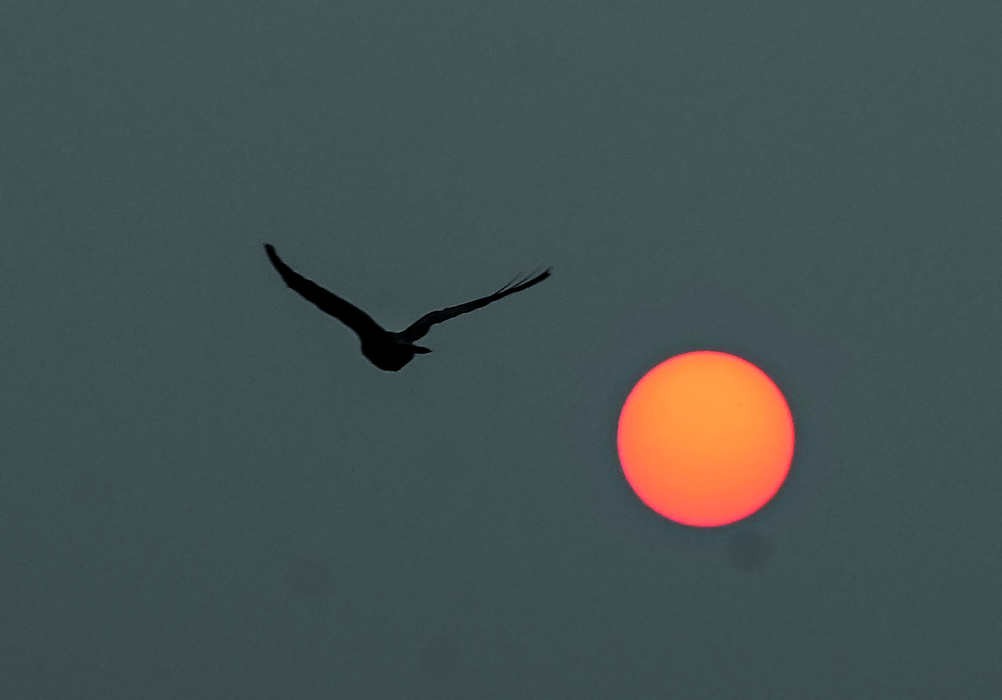 Govt ready to bear cost of artificial rain: Officials