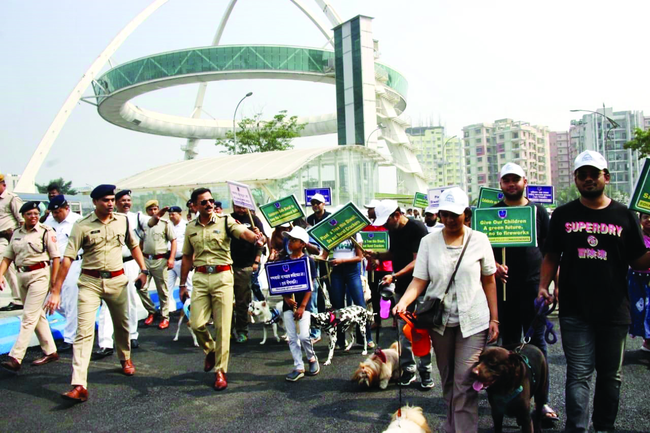 Harmful effect of crackers on animals: Awareness drive held Harmful effect of crackers on animals: Awareness drive held