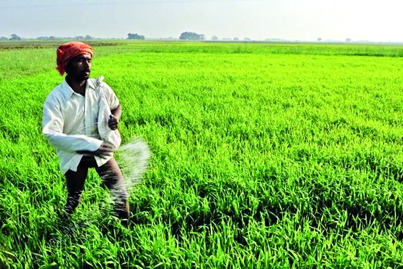 About 62 traders show-caused for black marketing of fertilisers About 62 traders show-caused for black marketing of fertilisers