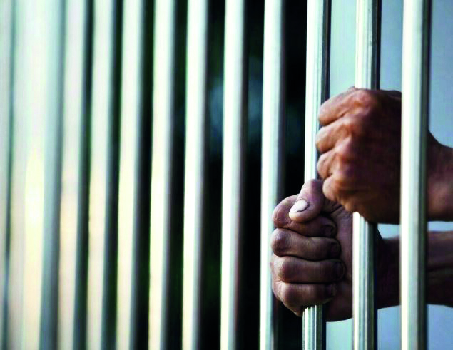 Parl panel suggests min 6-month jail for selling adulterated food