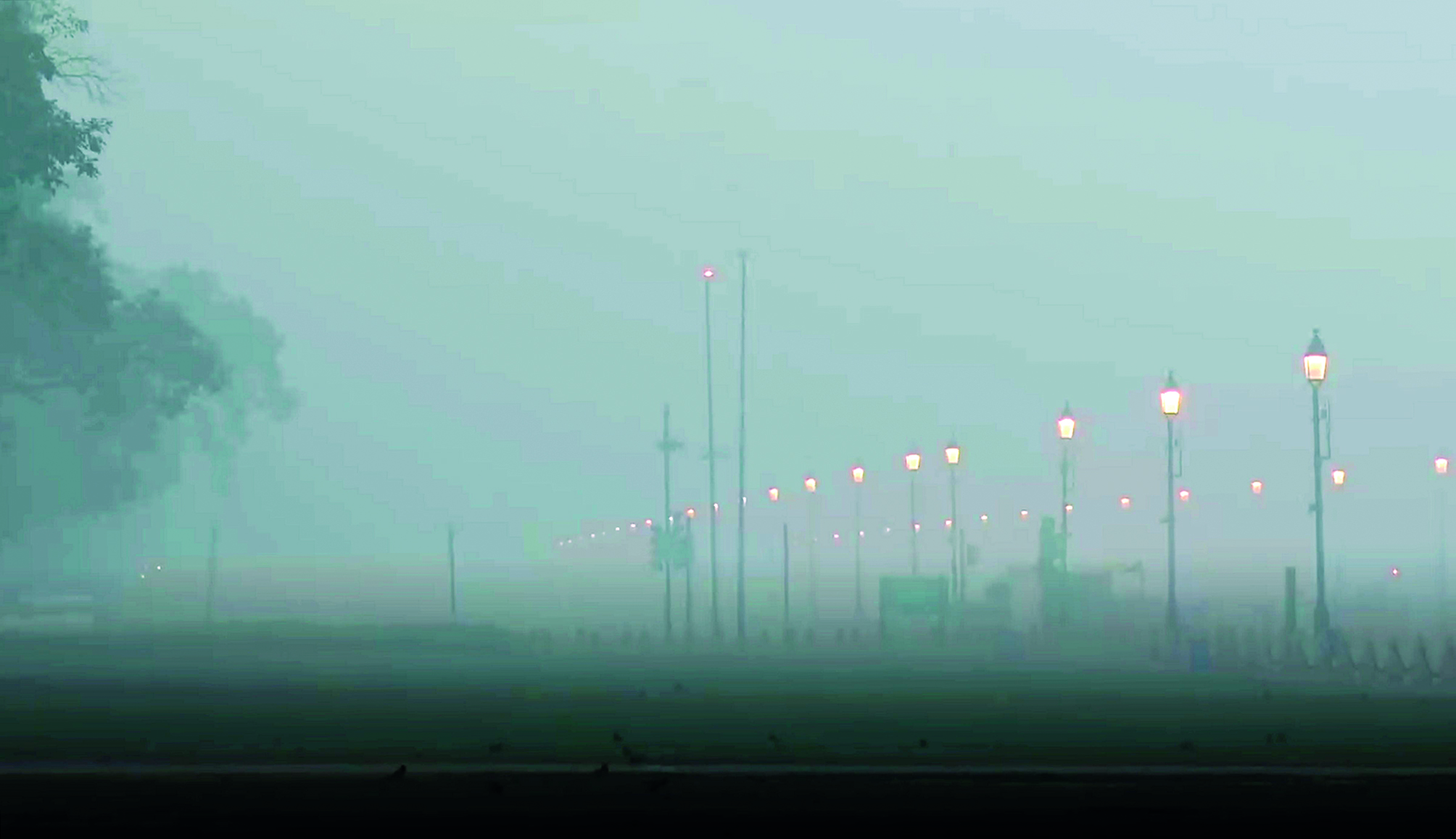 Take all possible immediate remedial measures to improve AQI: NGT to states