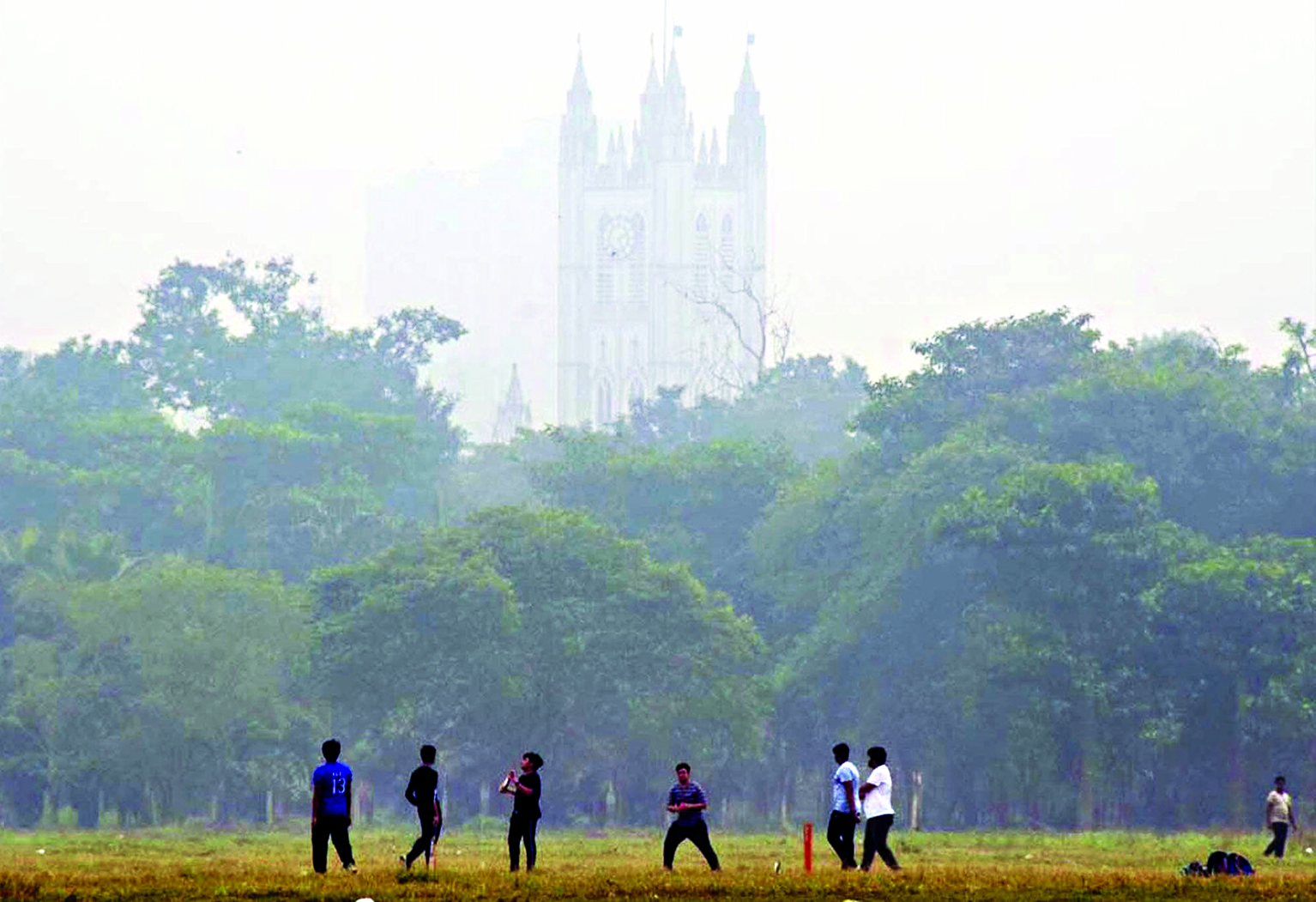 RVNL cannot uproot any trees in Maidan area: HC