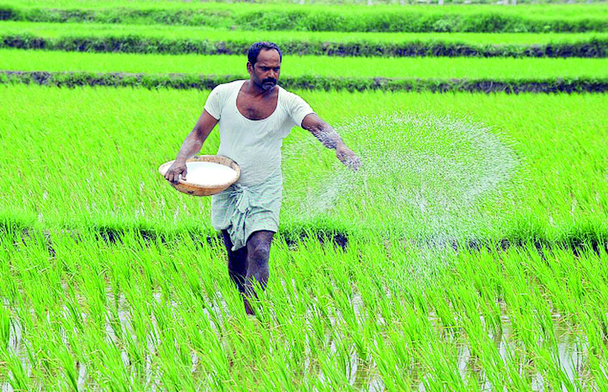 ‘Agriculture dept to cancel license of those involved in black marketing of fertilisers’