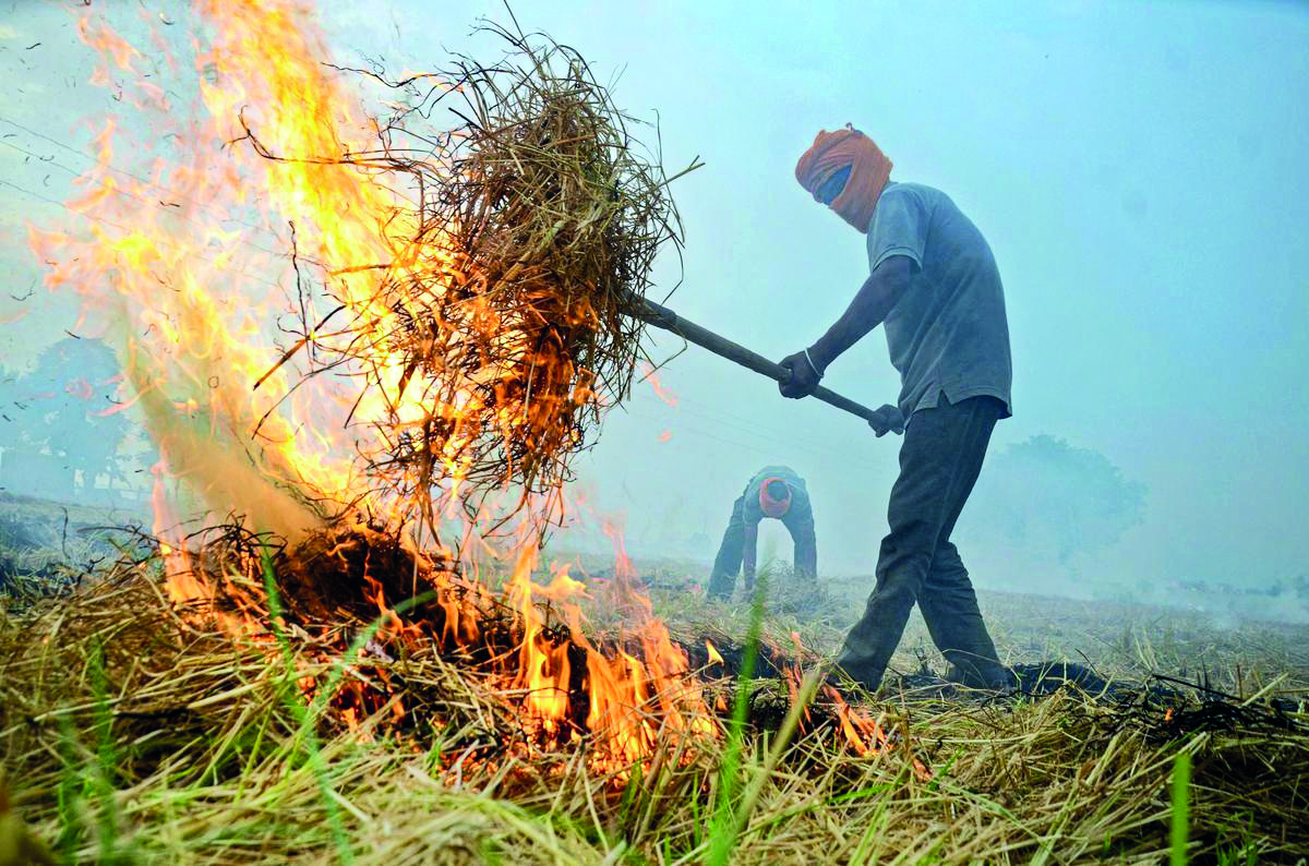 Punjab Police registers over 930 FIRs against farmers Punjab Police registers over 930 FIRs against farmers