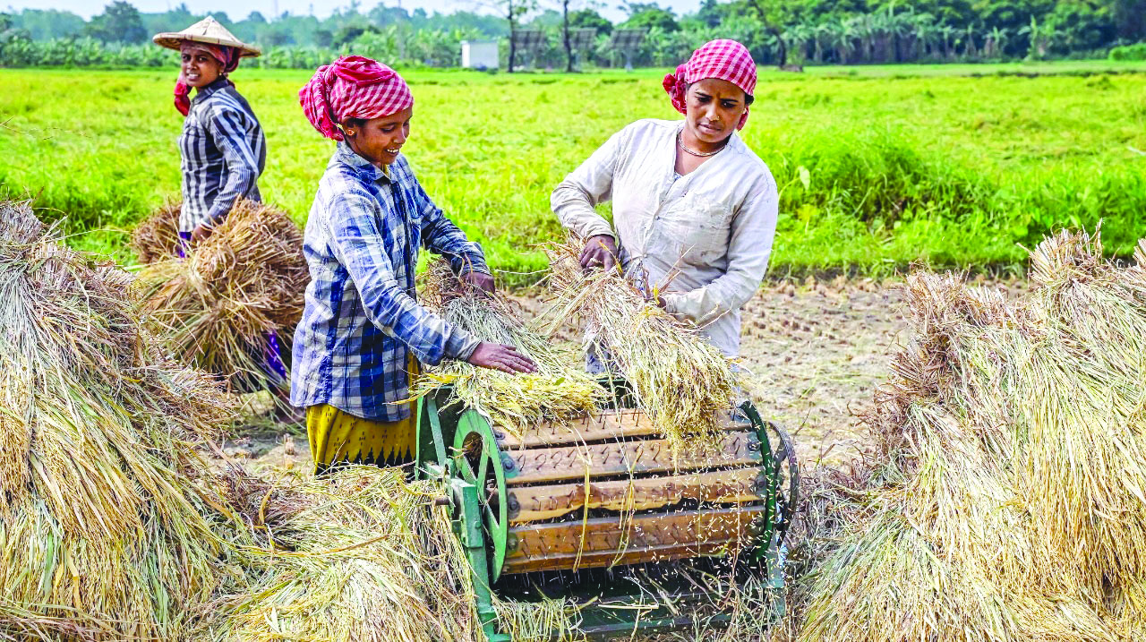 Retail inflation for farm, rural workers rise marginally in Oct amid higher food inflation