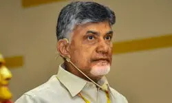 Andhra Pradesh: State High Court grants bail to Chandrababu Naidu in Skill Development Corpn scam case Andhra Pradesh: State High Court grants bail to Chandrababu Naidu in Skill Development Corpn scam case
