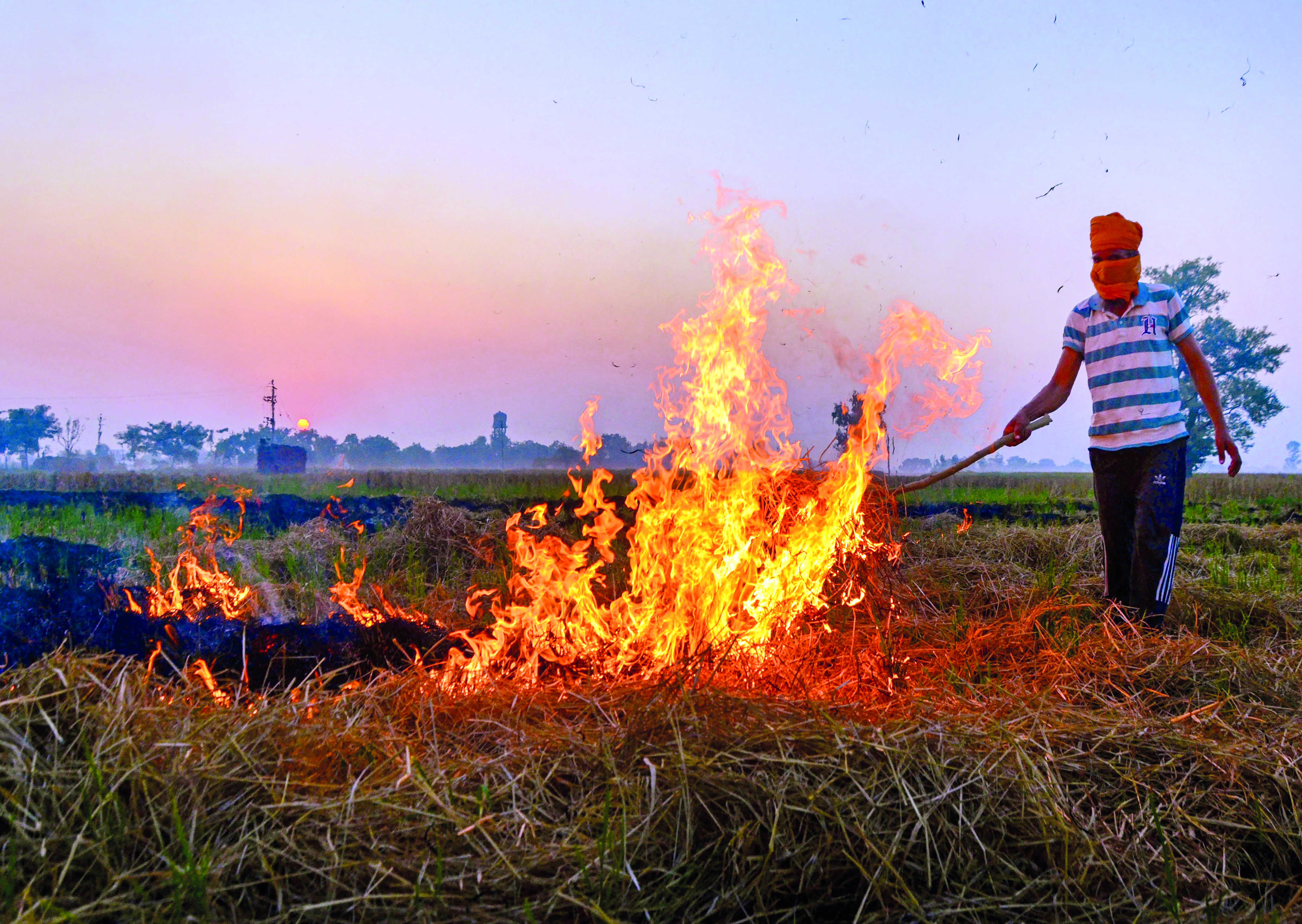 Centre, states must forget politics and stop crop residue burning: SC