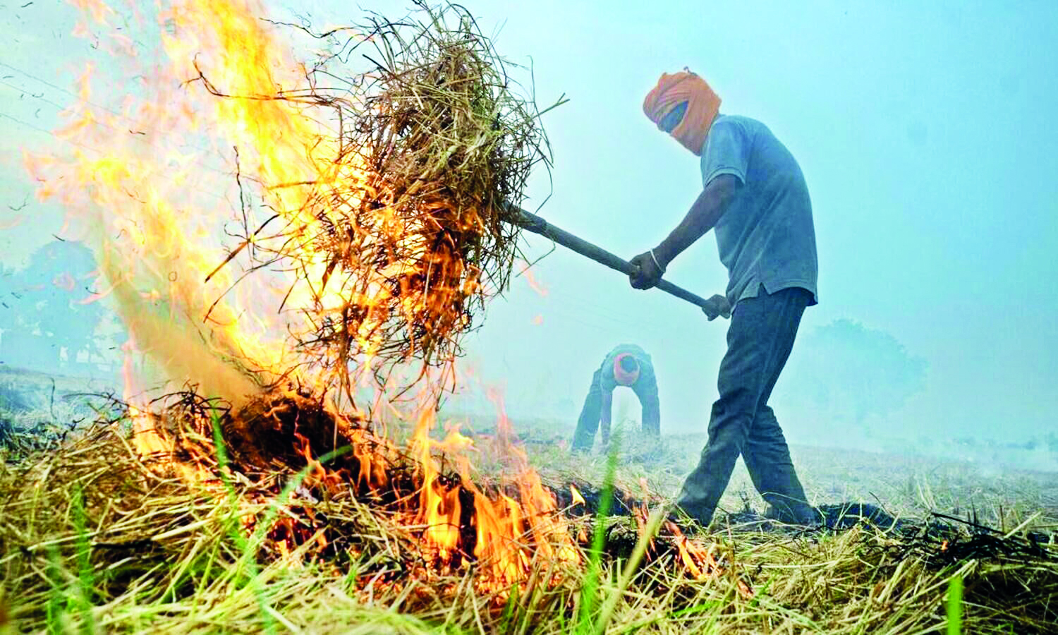 Farmers being made villain without being heard, says SC Farmers being made villain without being heard, says SC