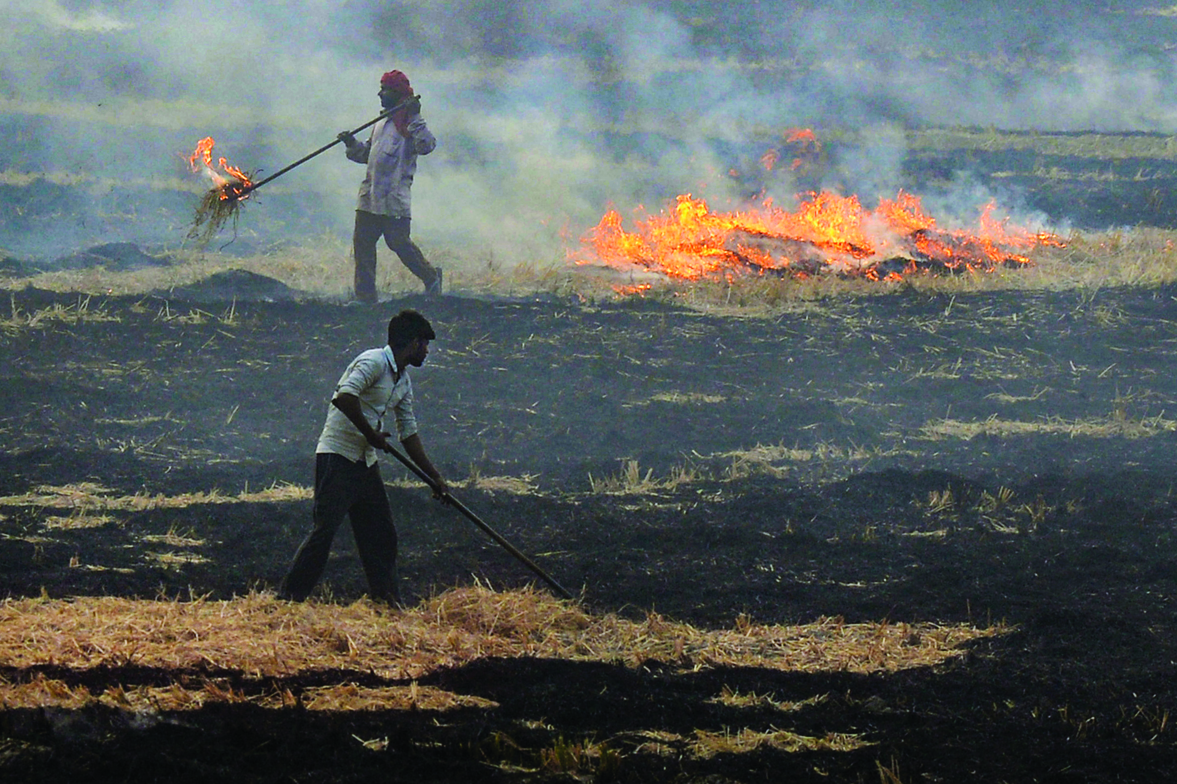 Farmers accuse Centre, Punjab of inadequate stubble management