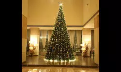 DoubleTree by Hilton illuminates this festive season’s Christmas tree DoubleTree by Hilton illuminates this festive season’s Christmas tree