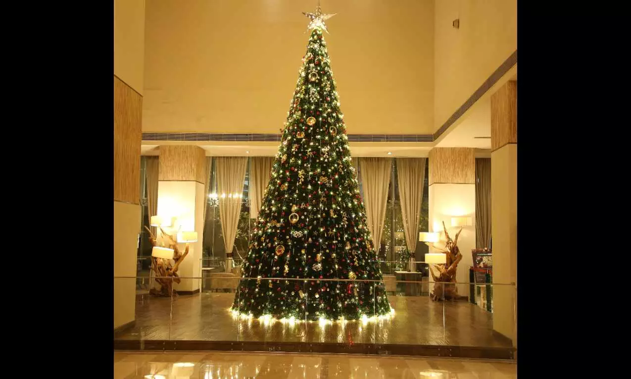 DoubleTree by Hilton illuminates this festive season’s Christmas tree