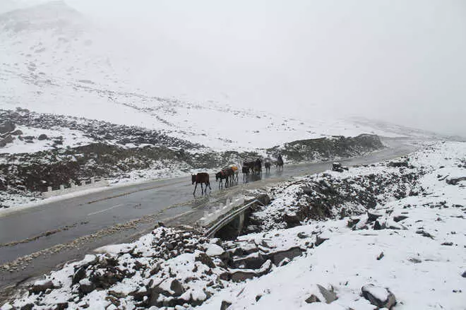 Jammu & Kashmir: Mughal Road closed for vehicular traffic due to snowfall