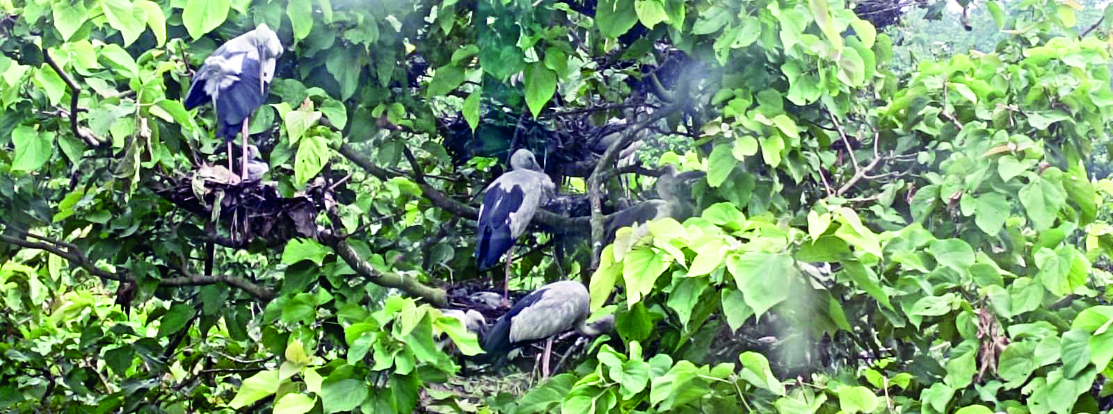 Threefold hike in ticket prices upsets visitors