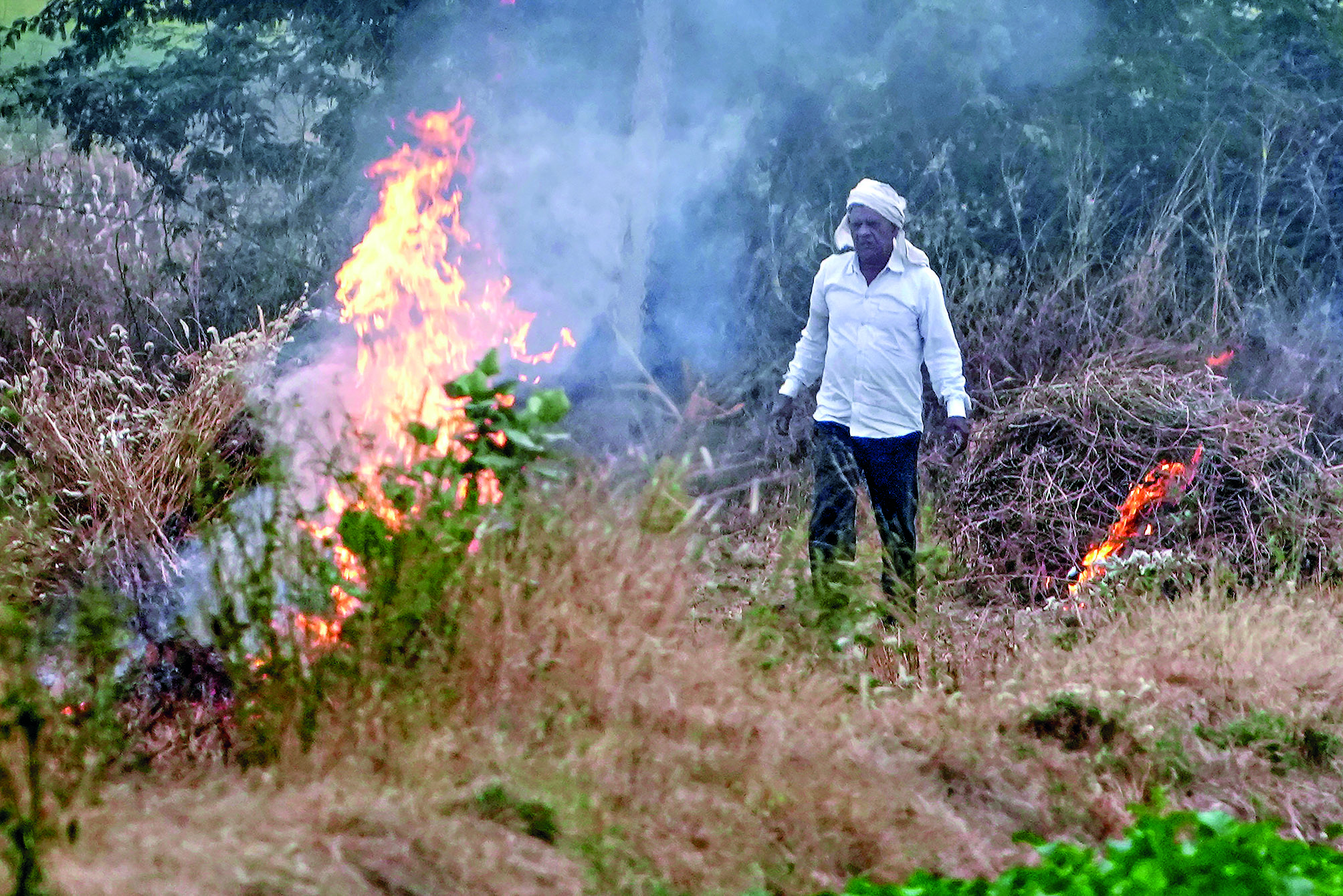 ‘Farm fires down by 27% in Punjab, 37% in Haryana as against last year’ ‘Farm fires down by 27% in Punjab, 37% in Haryana as against last year’