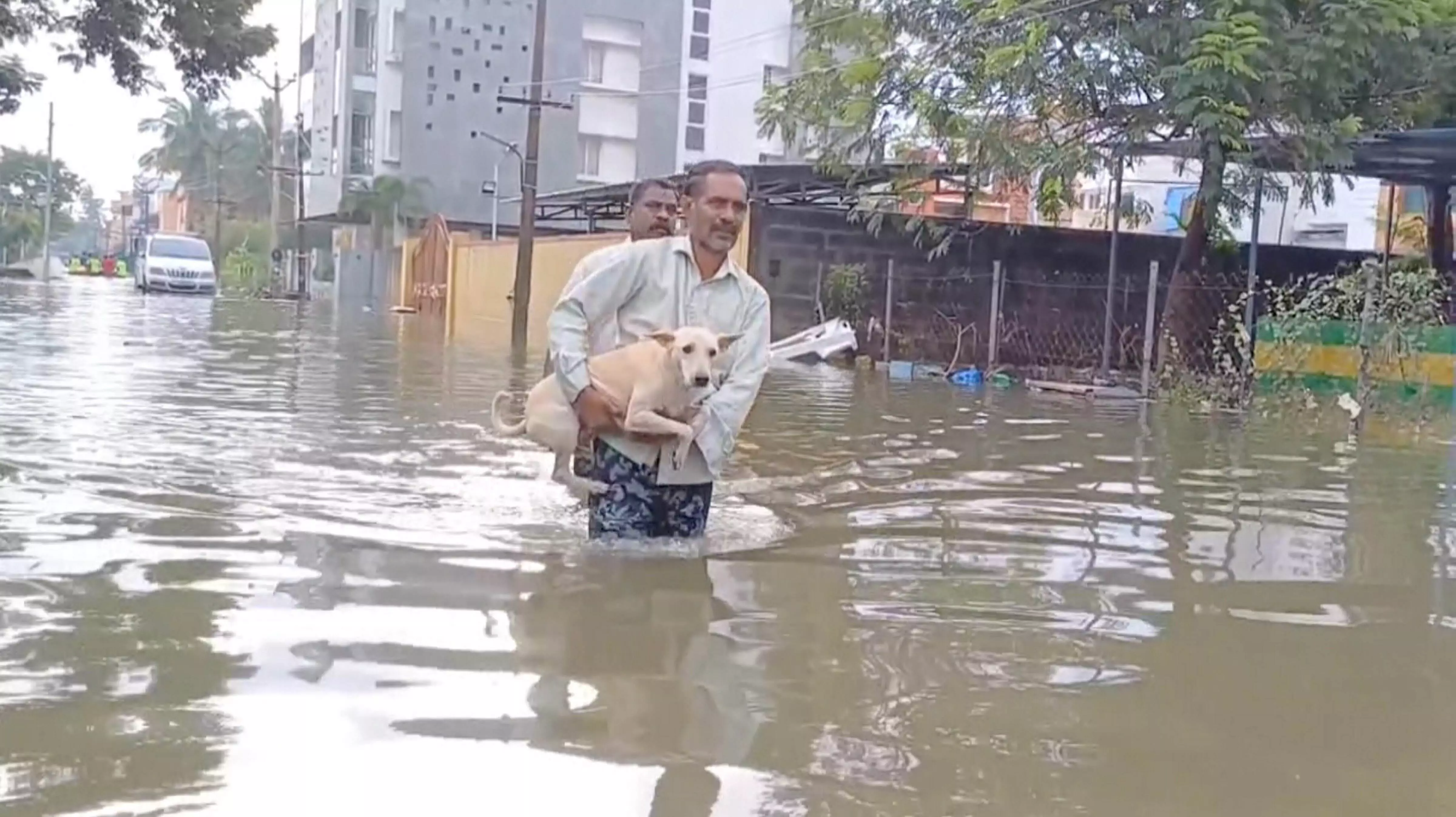 Chennai rains: Death toll rises to 12; Boats and tractors used in rescue efforts