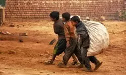 Taste of ‘revdi’ Taste of ‘revdi’