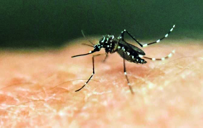 India recorded 2.34 lakh dengue cases till Nov 30: Govt to Lok Sabha