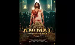 ‘Animal’ amasses Rs 660 crore at global box office ‘Animal’ amasses Rs 660 crore at global box office