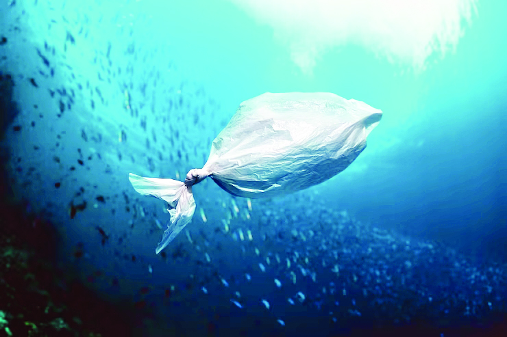 IIT Madras review identifies residential houses’ impact