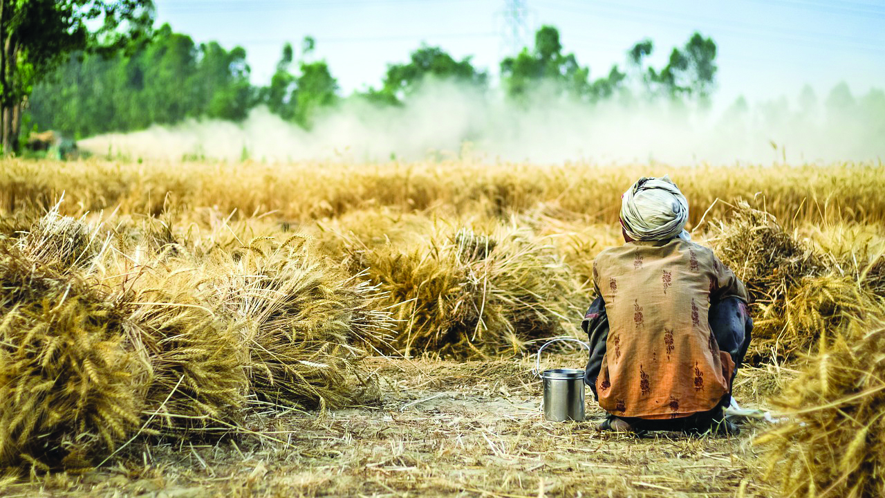 Maha: ‘2,366 farmers died by suicide   in 10 months of 2023’