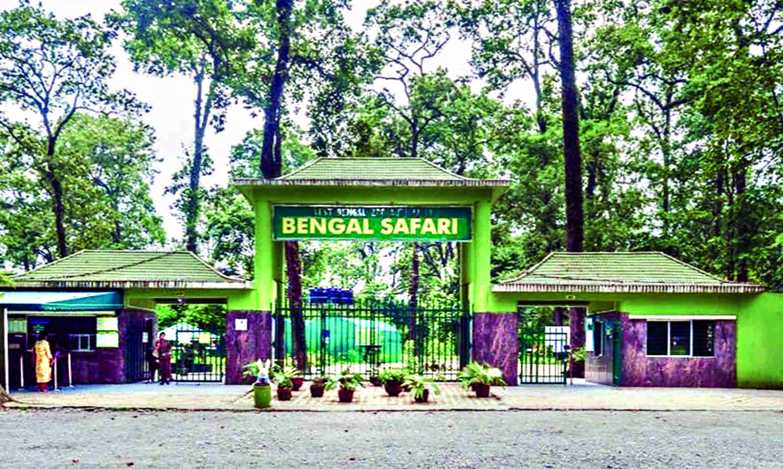 Bengal Safari Park to welcome dusky leaf monkeys in January