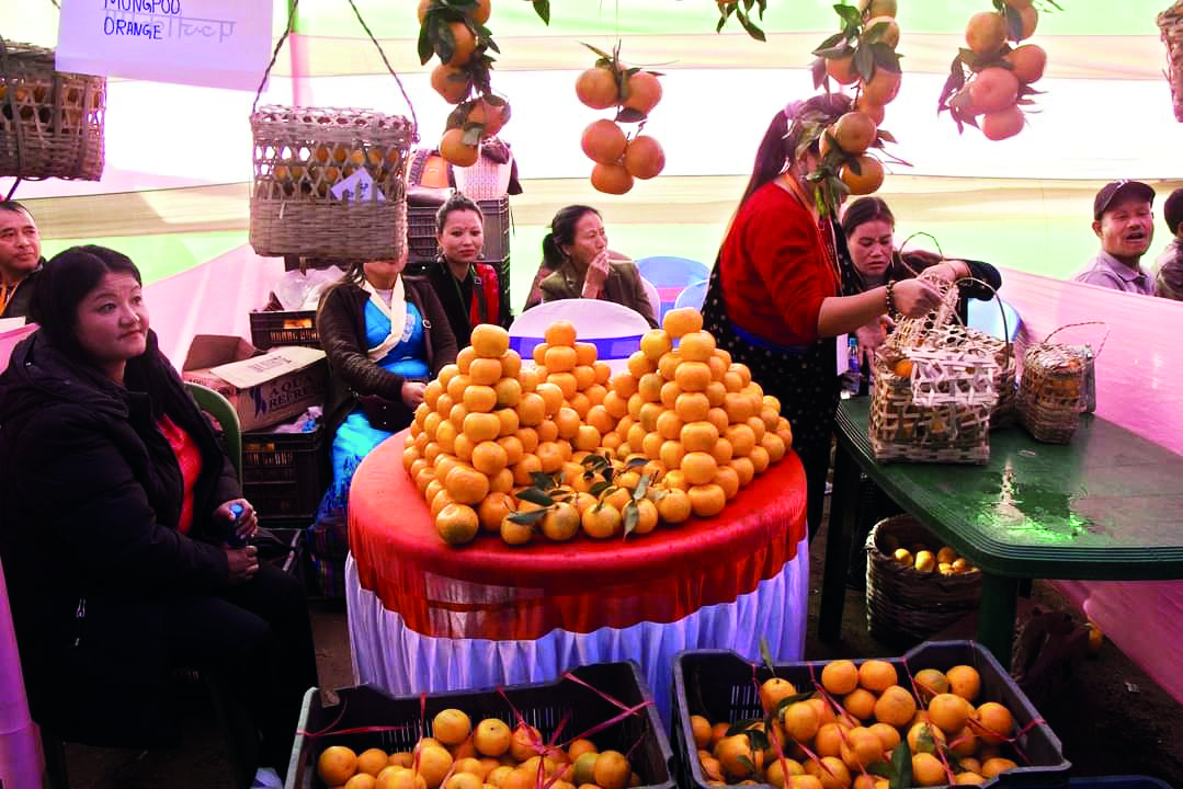 ‘Darj Hills will be known worldwide for oranges, mushrooms & orchids soon’