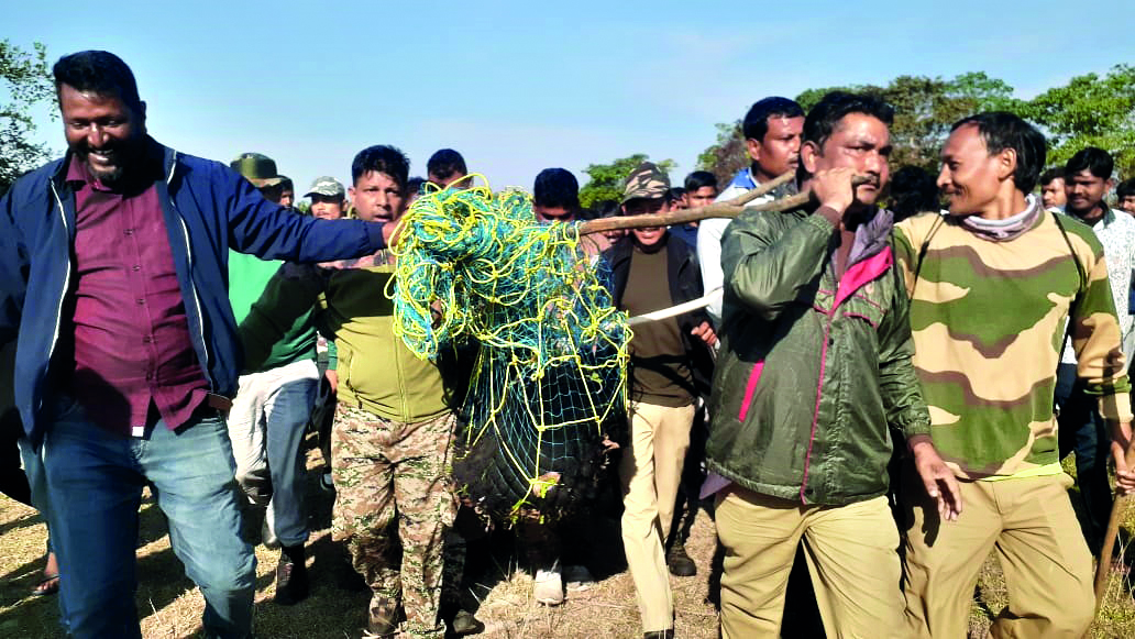 Asiatic black bear rescued in Alipurduar district