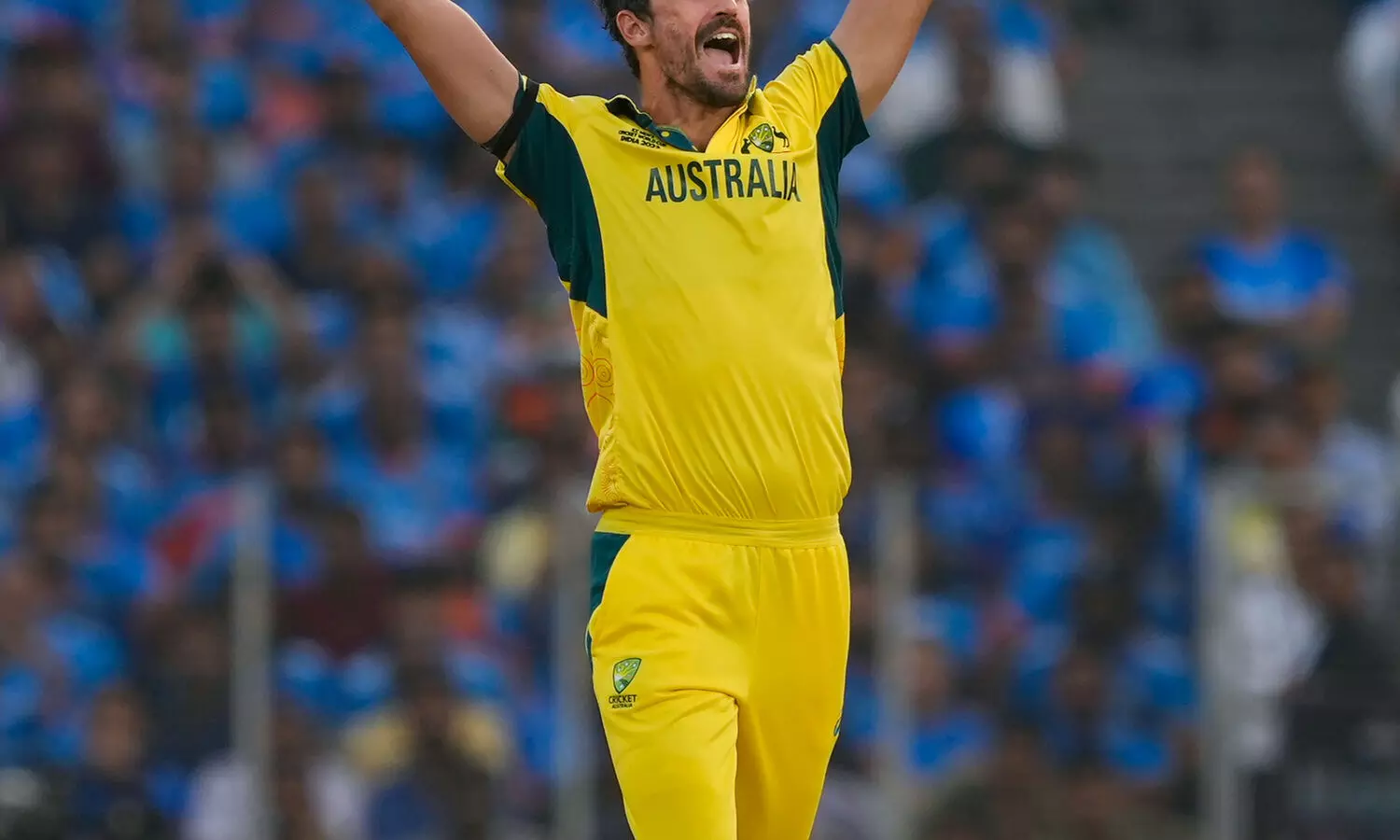 IPL Auction: Starc, Cummins value buys despite hefty price tags