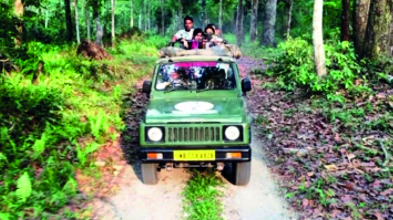 ‘Now tourists can opt for shared car rentals in Lataguri area’