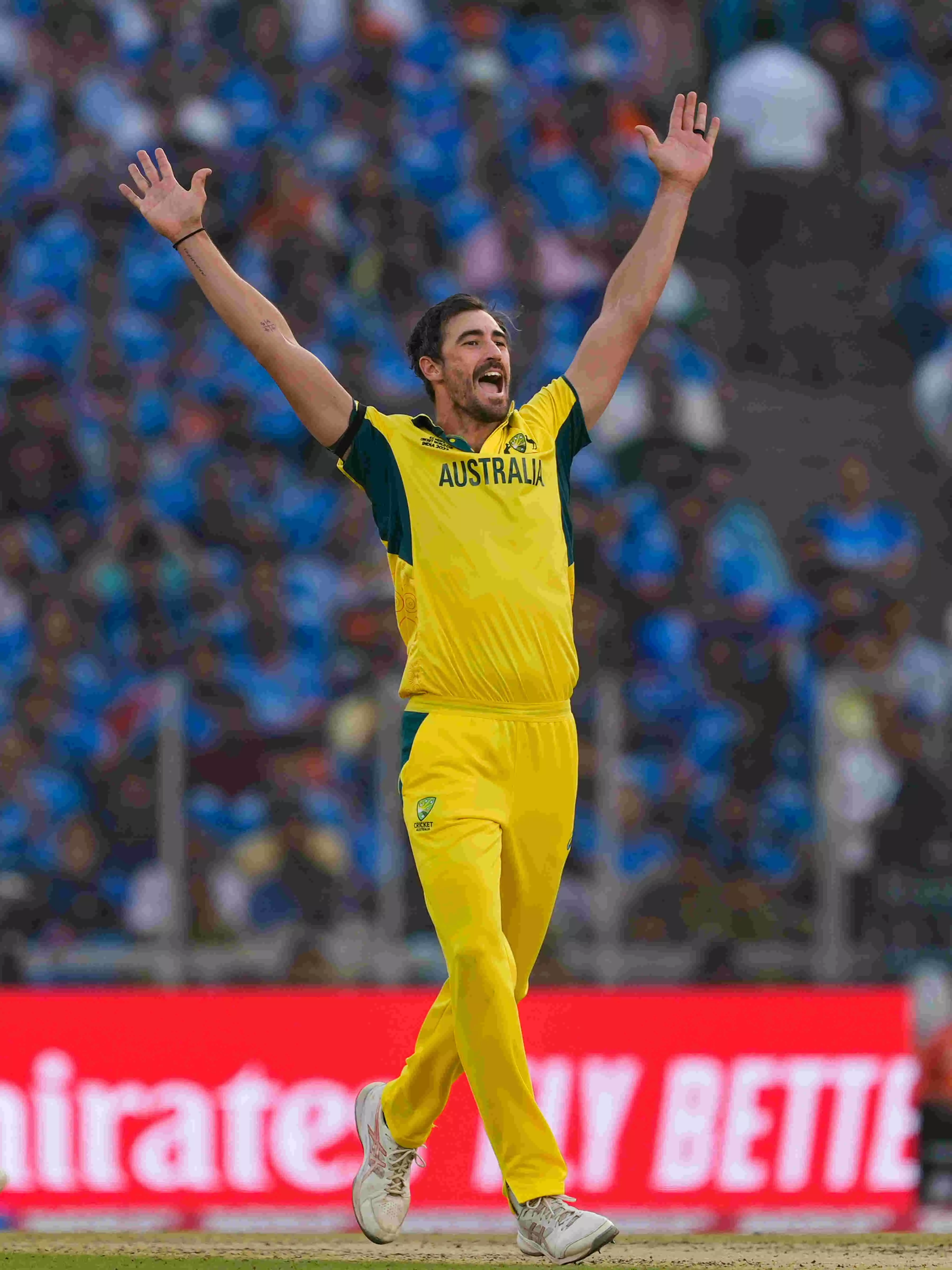 IPL Auction: Starc, Cummins value buys despite hefty price tags IPL Auction: Starc, Cummins value buys despite hefty price tags