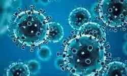 JN.1 Covid variant: Health experts allay fears, cite low public health risk