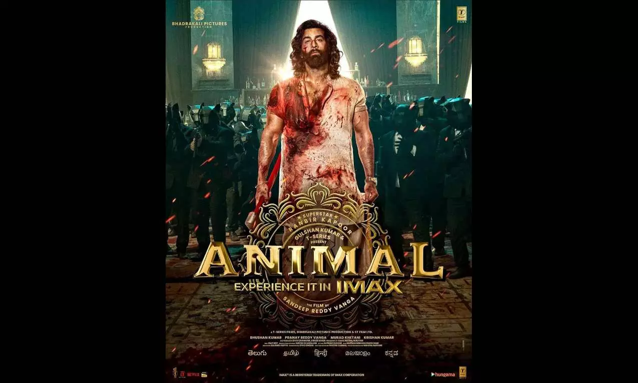 Box Office Collection: Ranbir Kapoor-starrer Animal overtakes Gadar 2