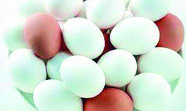 Price of eggs increases from Rs 195 to Rs 225 per crate Price of eggs increases from Rs 195 to Rs 225 per crate
