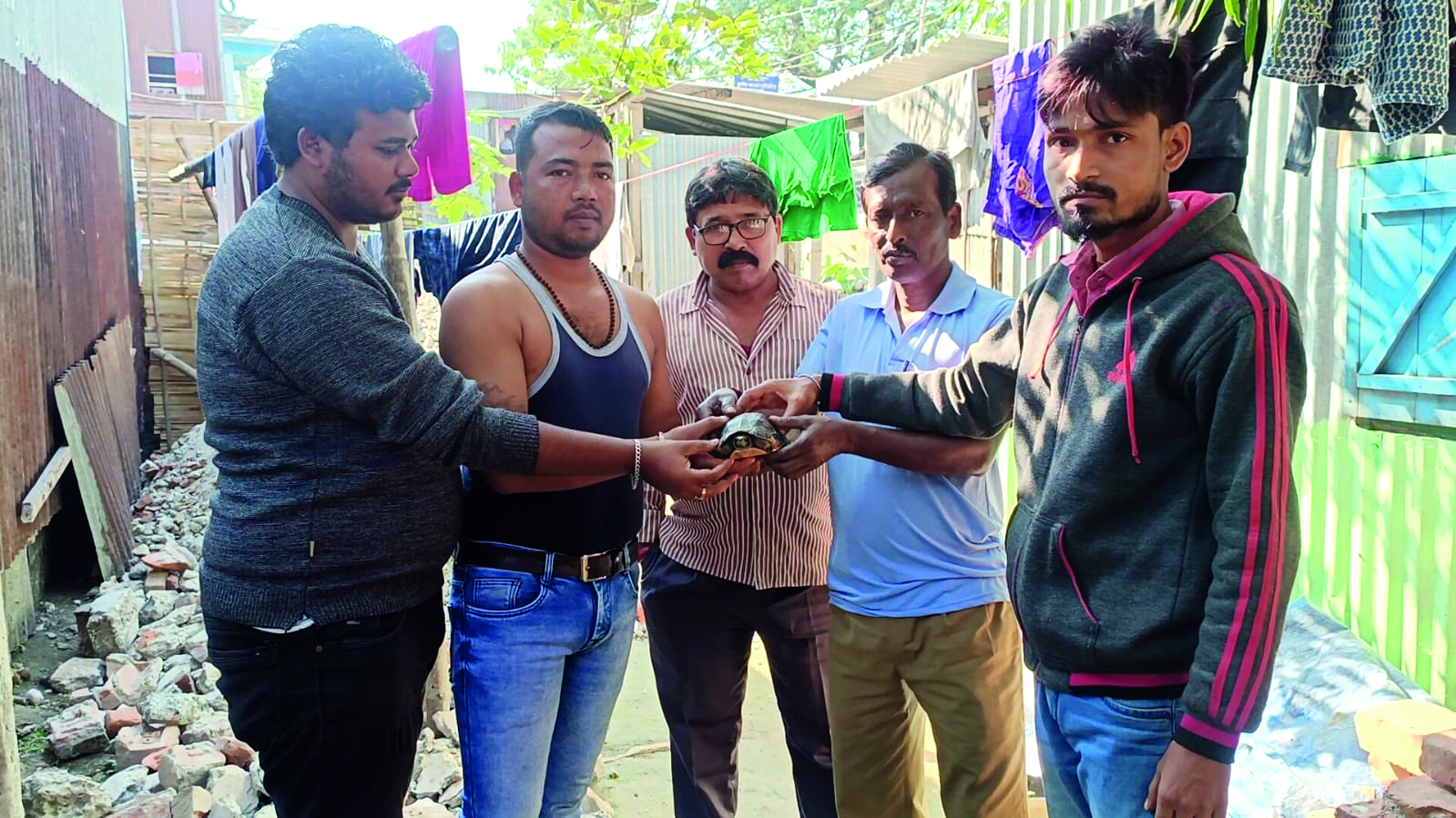 Cooch Behar resident rescues rare turtle Cooch Behar resident rescues rare turtle