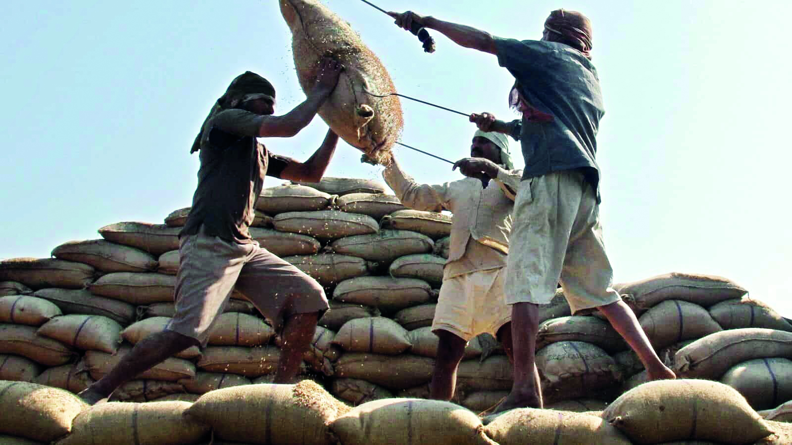 ‘51.5% agri exports from just 5 products makes sector vulnerable to global prices, demand’ ‘51.5% agri exports from just 5 products makes sector vulnerable to global prices, demand’