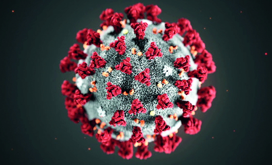 Covid-positive samples in Delhi sent for genome sequencing