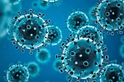 Delhi reports first case of Covid sub-variant JN.1 Delhi reports first case of Covid sub-variant JN.1