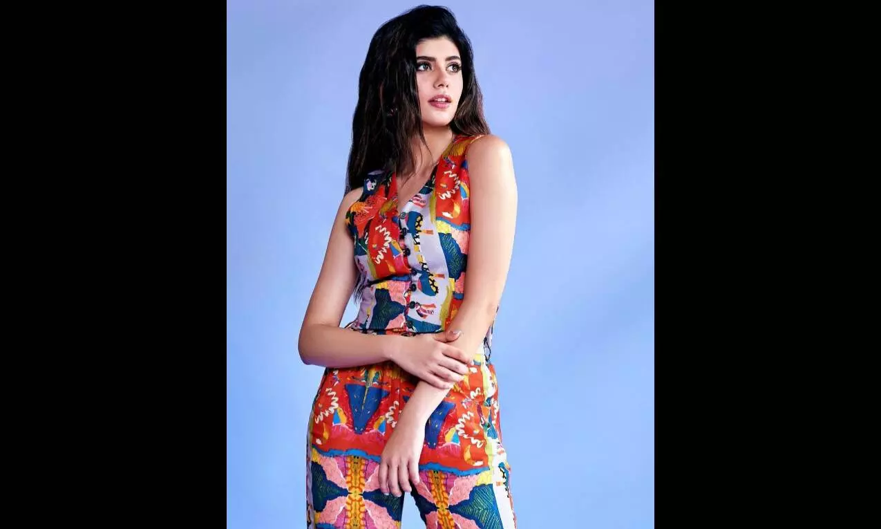 Our work is so easily accessible and cultural: Sanjana Sanghi