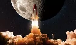 A year of cosmic marvels