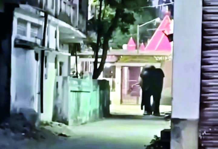 Jumbo takes a stroll in Malbazar Town