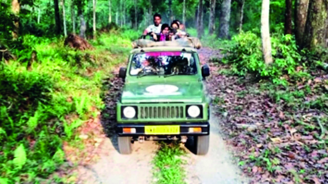 Jalpaiguri Forest department explores new Ramsai Jungle Safari route