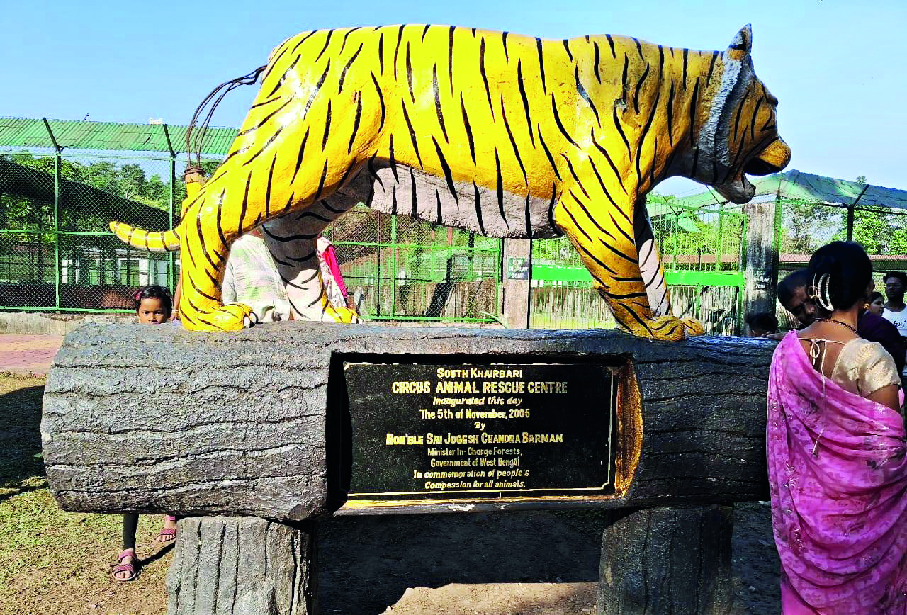 South Khairbari set to boast of Northeast India’s largest elephant enclosure South Khairbari set to boast of Northeast India’s largest elephant enclosure