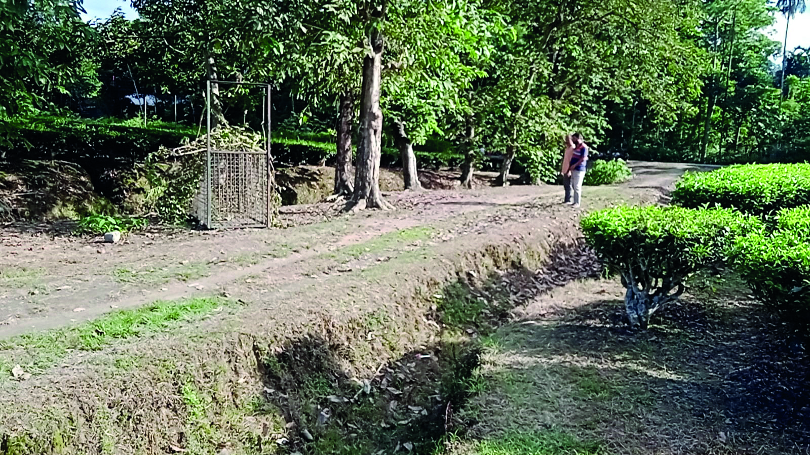 Leopard on prowl sparks fear, Forest dept installs 6 cages