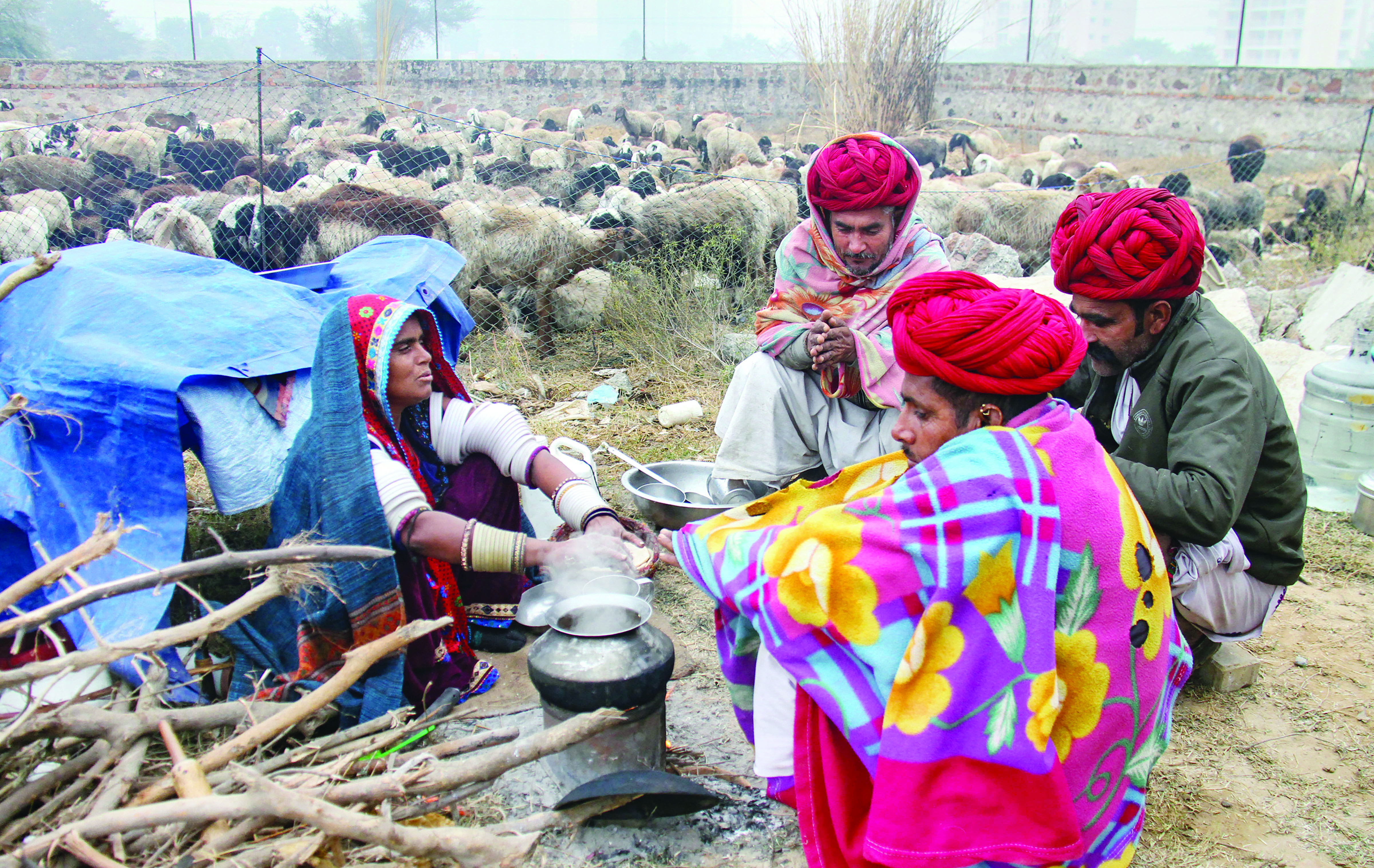 IMD forecasts dense to very dense fog in NW India for next 5 days