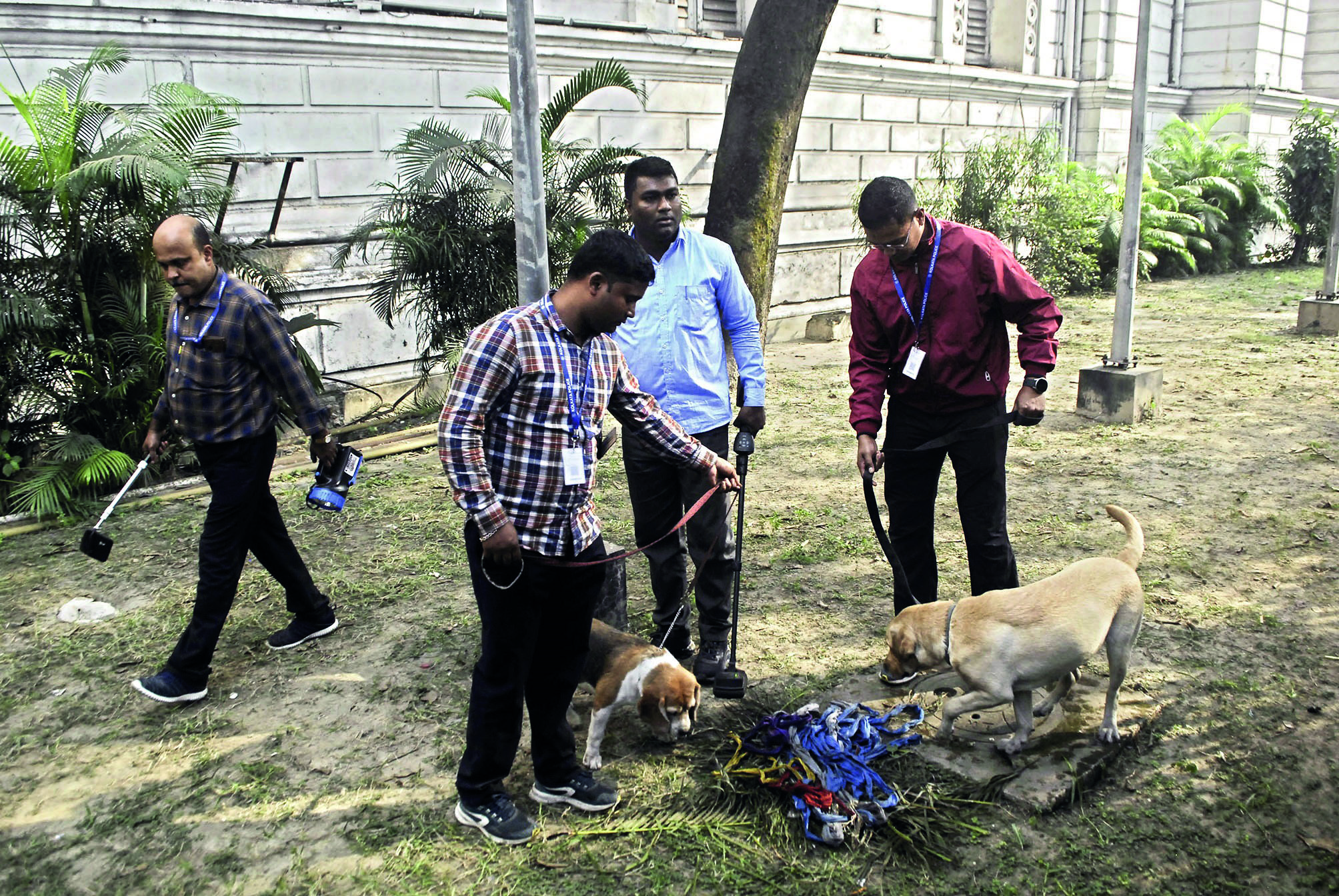 11 puppies procured for Kolkata   Police canine unit to soon reach city